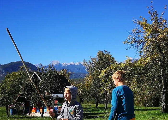 Hiska Pr Bohinjski Mami