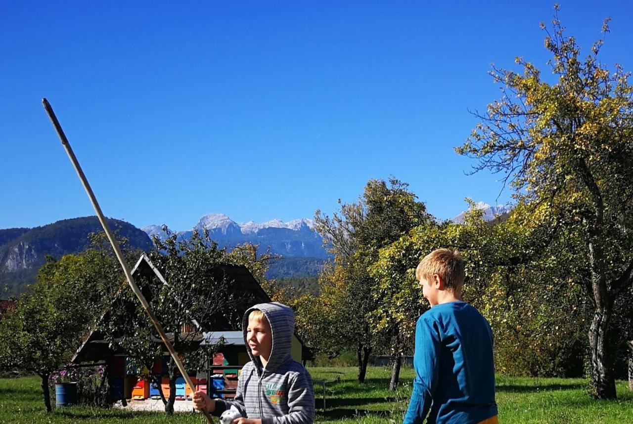 Hiska Pr Bohinjski Mami Bohinj